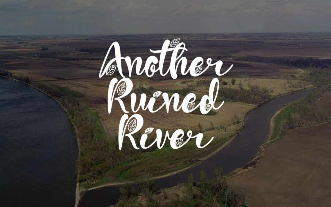 Another Environmental Disaster – Another Ruined River