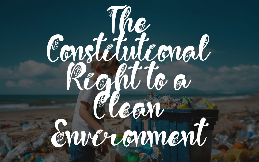 Is There a Constitutional Right to a Clean Environment?