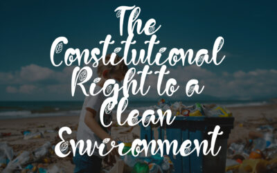 Is There a Constitutional Right to a Clean Environment?